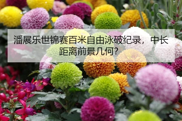潘展乐世锦赛百米自由泳破纪录，中长距离前景几何？