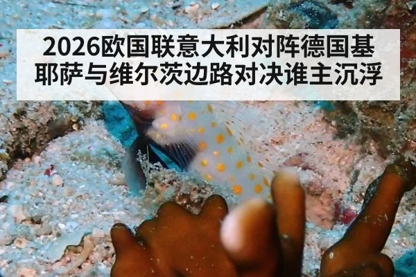 2026欧国联意大利对阵德国基耶萨与维尔茨边路对决谁主沉浮